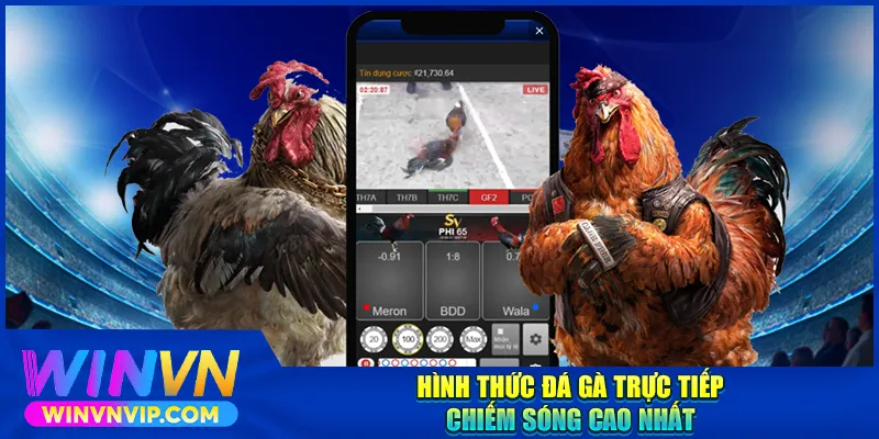 Hình thức đá gà trực tiếp chiếm sóng cao nhất