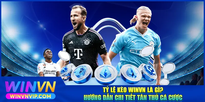 https://winvnvip.com/ty-le-keo-winvn/